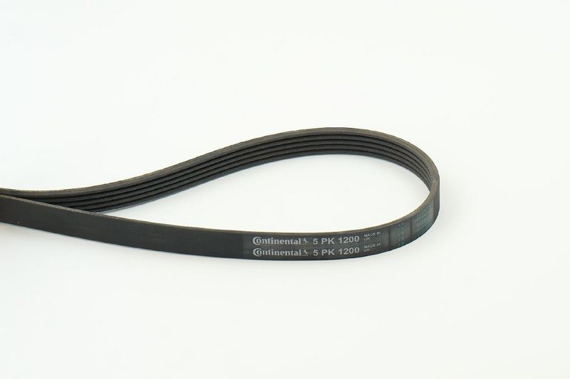 V-Ribbed Belt RENAULT - 77 00 300 347