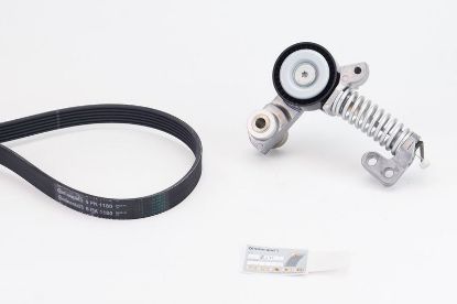 V-Ribbed Belt Set VOLVO - 31480361