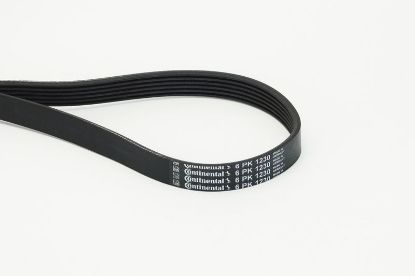 V-Ribbed Belt VOLVO - 9146899, PSA - 98 111 095 80