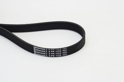V-Ribbed Belt VAG - 036 145 933Q