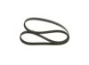 V-Ribbed Belt VAG - 038 903 137 AA - 6PK1185
