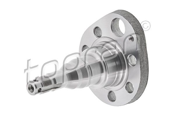 Kingpin, axle beam GOLF III (1H1), VENTO (1H2)