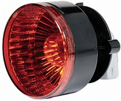 Rear Fog Light