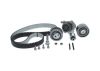 Water Pump & Timing Belt Kit GOLF V (1K1), SUPERB II (3T4)