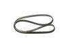 V-Ribbed Belt RENAULT - 11 72 083 09R - 6PK1195