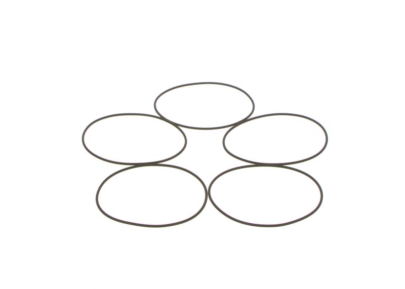 Seal Ring, injector MB