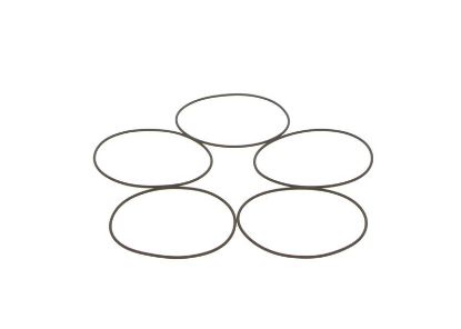 Seal Ring, injector MB