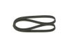 V-Ribbed Belt VAG - 06A 260 849 - 6DPK1195