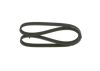 V-Ribbed Belt VAG - 06A 260 849 - 6DPK1195