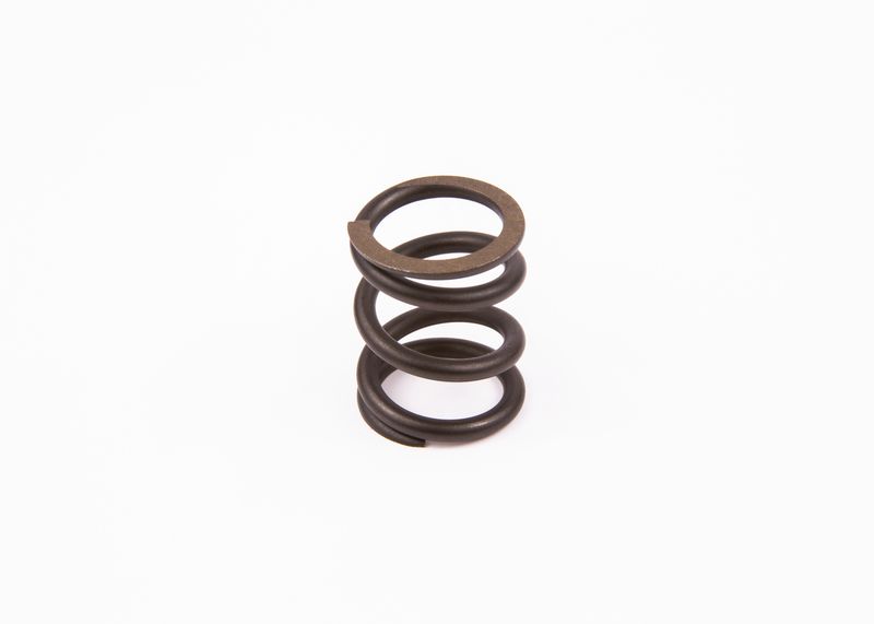 Spring, throttle control linkage Diesel Spare Parts (convention