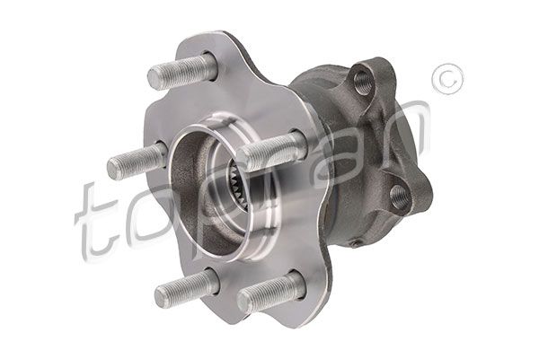 Wheel Bearing Renault/Dacia, Nissan