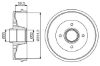 Brake Drum RENAULT - 77 00 304 984