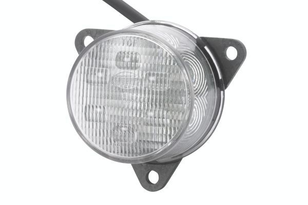Rear Fog Light