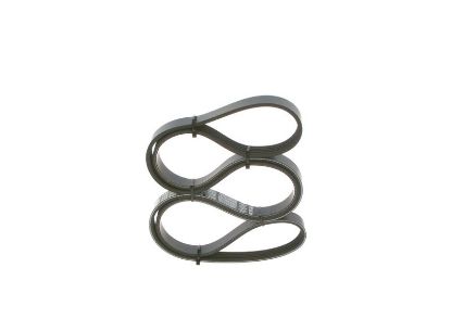 V-Ribbed Belt VAG - 028 903 137 AI - 5PK1592