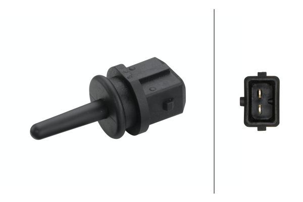 Sensor, intake air temperature