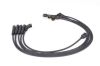 Ignition Cable Kit Mitsubishi