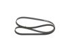 V-Ribbed Belt VAG - 03C 260 849 A - 6PK1698