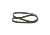 V-Ribbed Belt VAG - 04L 260 849 C - 6PK1030