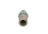 Pressure Relief Valve, common rail system Diesel Spare Parts (modern)