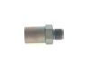 Pressure Relief Valve, common rail system Diesel Spare Parts (modern)