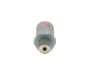 Pressure Relief Valve, common rail system Diesel Spare Parts (modern)