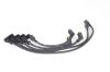 Ignition Cable Kit Fiat