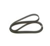 V-Ribbed Belt MERCEDES-BENZ - 906 997 23 92 - 8PK2045