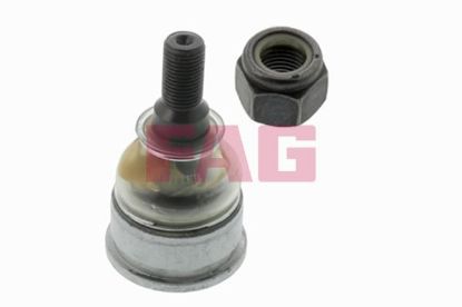 Ball Joint HONDA - 51220-S5A-003