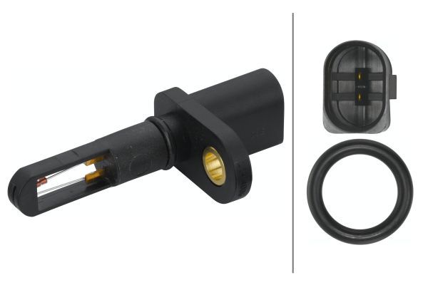 Sensor, intake air temperature