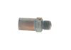 Pressure Relief Valve, common rail system Diesel Spare Parts (modern)