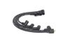 Ignition Cable Kit Fiat