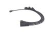 Ignition Cable Kit