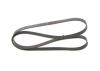 V-Ribbed Belt KIA - 25212-27002 - 6PK1513