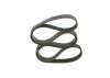 V-Ribbed Belt NISSAN - 11720-5X00A - 7 PK 1753