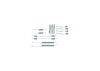 Accessory Kit, brake shoes