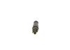 Nozzle and Holder Assembly A 002 017 34 21 MERCEDES-BENZ
