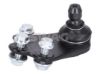 Ball Joint Fiat PKW 52026562