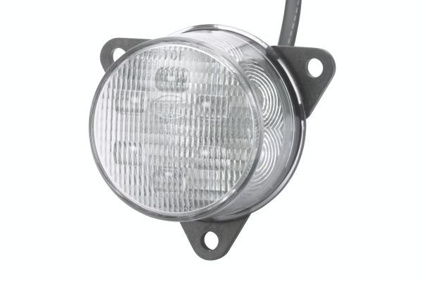 Rear Fog Light