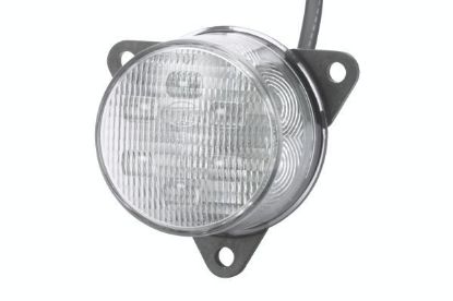 Rear Fog Light