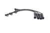 Ignition Cable Kit CLIO II (BB0/1/2_, CB0/1/2_)