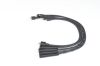 Ignition Cable Kit FORD