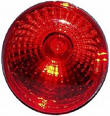 Rear Fog Light