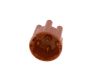 Distributor Cap