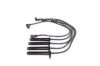 Ignition Cable Kit SIERRA (GBG, GB4)