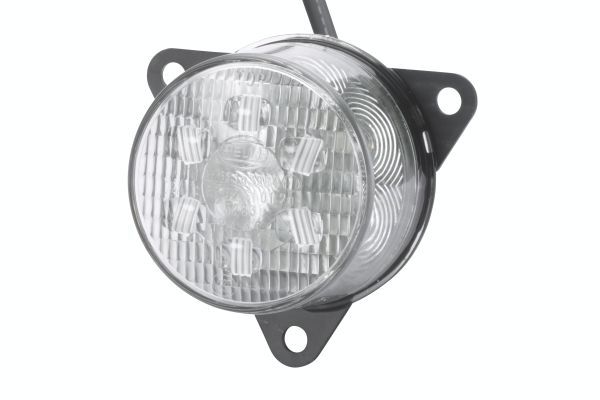 Rear Fog Light