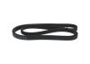 V-Ribbed Belt MERCEDES-BENZ - 003 993 33 96 - 6DPK2217