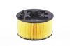 Air Filter BMW - 13 71 7 503 141