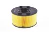 Air Filter BMW - 13 71 7 503 141