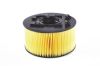 Air Filter BMW - 13 71 7 503 141