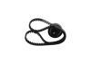 Timing Belt Kit RENAULT - 13 0C 174 80R